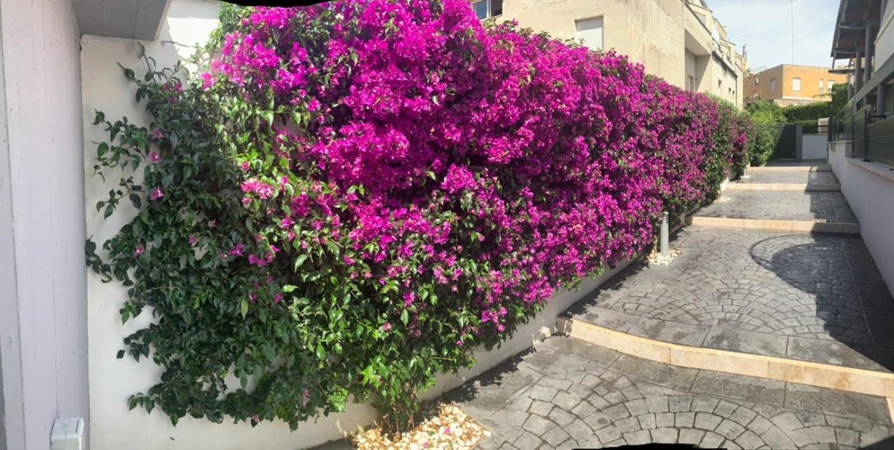 The Shabby House - Charming Seaside Retreat In Central Anzio, Steps From Beach And Train Station المظهر الخارجي الصورة