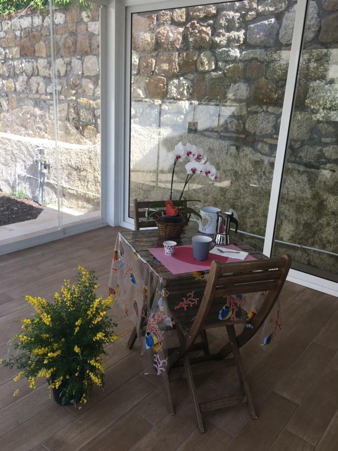The Shabby House - Charming Seaside Retreat In Central Anzio, Steps From Beach And Train Station المظهر الخارجي الصورة