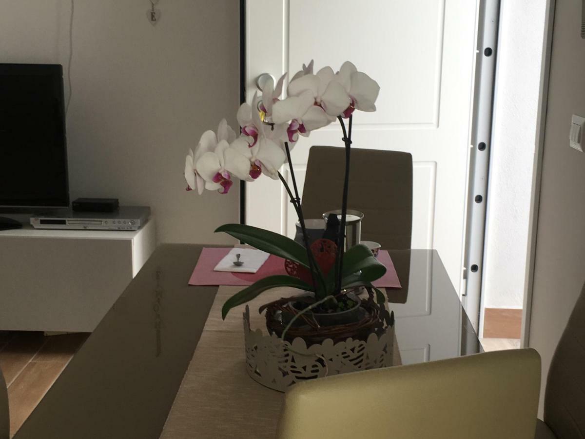 The Shabby House - Charming Seaside Retreat In Central Anzio, Steps From Beach And Train Station المظهر الخارجي الصورة